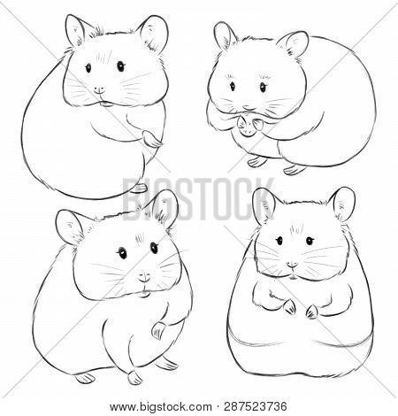 Drawn By Hand Sketches Of Cute Cartoon Hamsters On White Background. Illustration Of Little Animals 