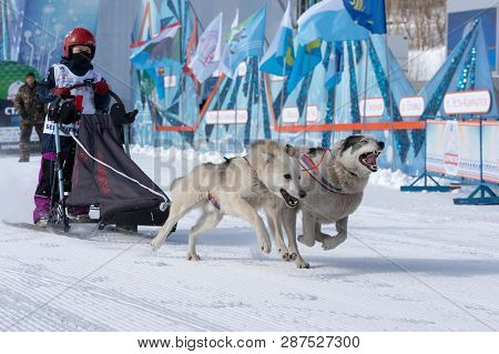 Petropavlovsk Kamchatsky, Kamchatka Peninsula, Russian Far East - February 21, 2019: Kamchatka Kids 