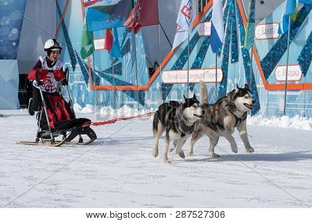 Petropavlovsk Kamchatsky City, Kamchatka Peninsula, Russian Far East - February 21, 2019: Kamchatka 