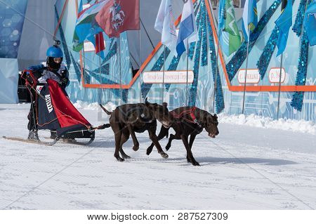 Petropavlovsk Kamchatsky, Kamchatka Peninsula, Russian Far East - February 21, 2019: Kamchatka Kids 