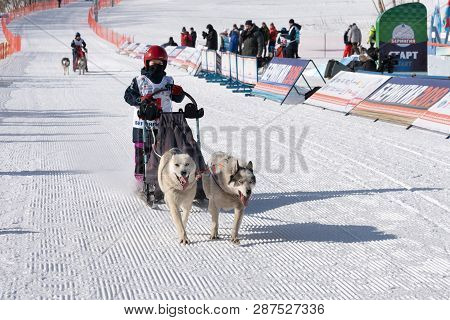 Petropavlovsk Kamchatsky, Kamchatka Peninsula, Russian Far East - February 21, 2019: Kamchatka Kids 