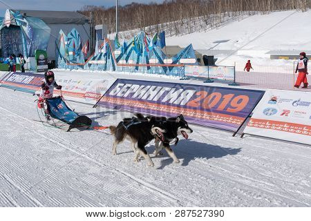 Petropavlovsk Kamchatsky City, Kamchatka Peninsula, Russian Far East - February 21, 2019: Kamchatka 
