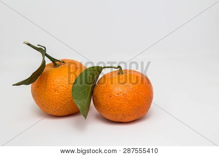 Hand With Tangerine And Mandarin Orange Isolated On White , Mandarin Orange Are Symbolic To  Fruits 