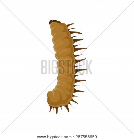 Larva Of Butterfly. Brown Caterpillar. Insect With Lots Of Legs. Flat Vector For Biological Book Or 