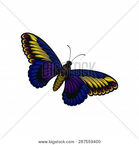Flat Vector Of Bright Blue-yellow Butterfly. Flying Insect With Two Pairs Of Wings With Beautiful Pa