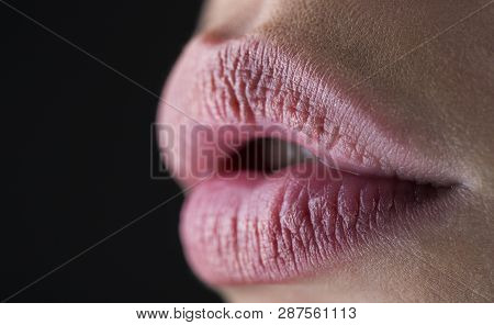 Sexy, Sensual Lip, Mouth Open. Lip Protection. Lip Care And Beauty. Closeup Of Beautiful Woman Healt