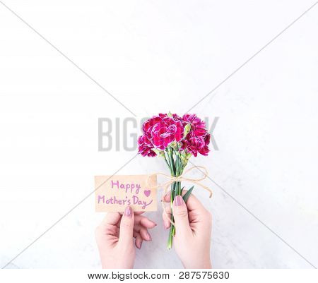 May Mothers Day Idea Concept Photography - Beautiful Blooming Carnations Tied By Rope Kraft Bow Hold