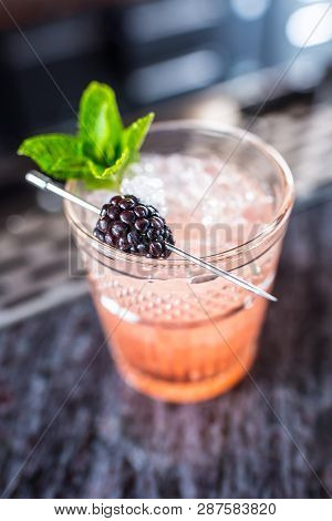Cocktail Drink Bramble With Black Berries And Mint At Barcounter In Night Club Or Restaurant.