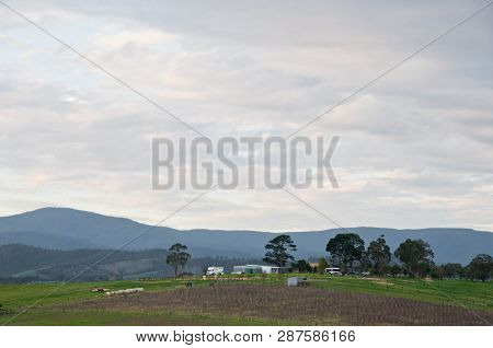 Peaceful Evening Scene Of Yarra Valley Countryside And Mountainrange Near Melbourne Australia