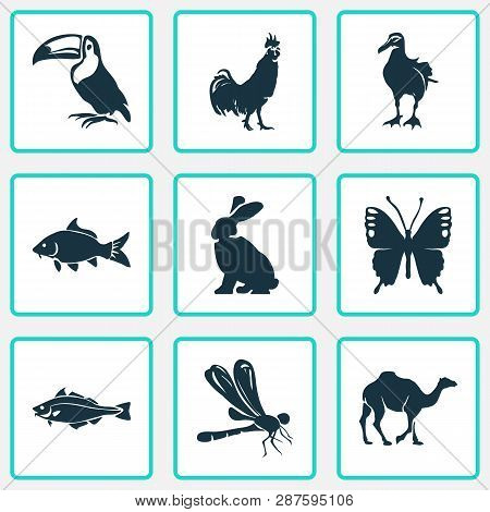 Zoo Icons Set With Dragonfly, Butterfly, Rabbit And Other Codfish Elements. Isolated Vector Illustra