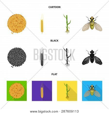Vector Illustration Of Agriculture And Farming Icon. Set Of Agriculture And Plant  Vector Icon For S