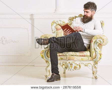 Man With Beard And Mustache Sits On Armchair And Reading, White Wall Background. Connoisseur Of Lite