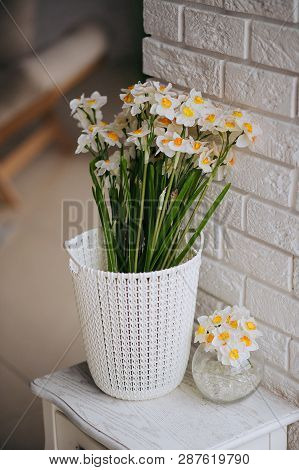 One White And Orange Beutiful Flower From The Family Narcissus