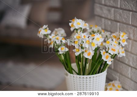 One White And Orange Beutiful Flower From Narcissus