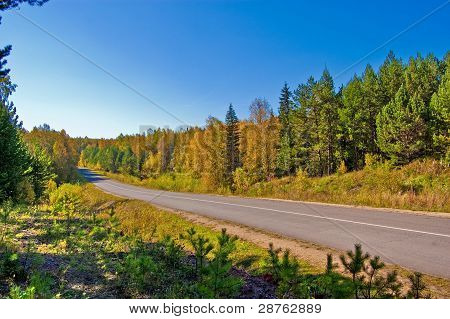 Strada di campagna.