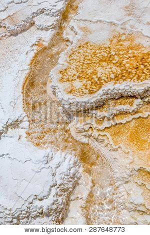 Travertine Depositions Of Minerva Terrace Hot Springs In Yellowstone National Park, Usa