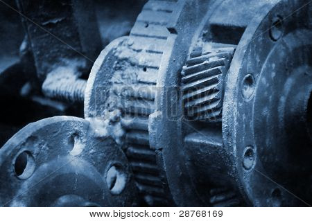 Gear