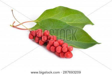 Schisandra Chinensis Berries Isolated On White Background
