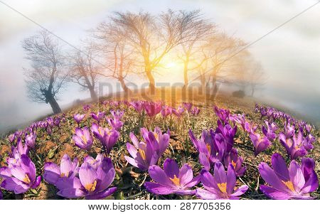 After A Winter