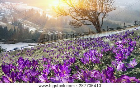 After A Winter