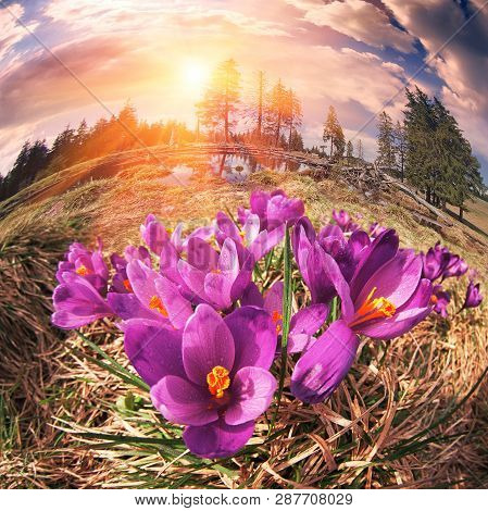In March-april After A Winter In The Mountains Of Unstable Weather, And Replaced By The Warmth, The 