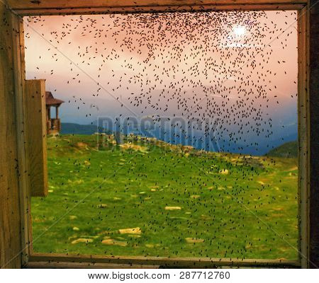 In Areas With Poor Ventilation And The Environment Violated Health Standards And Bred Harmful Hazard