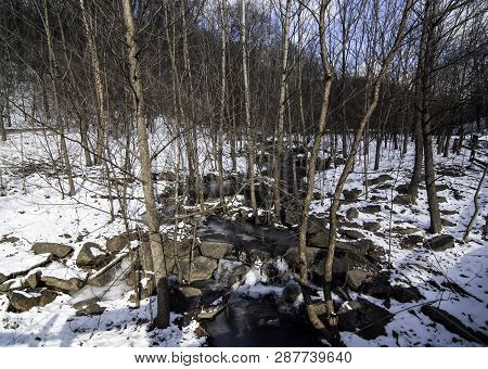 A Stream In The Woods In Frick Park, Pittsburgh, Pennsylvania, Usa In Winter