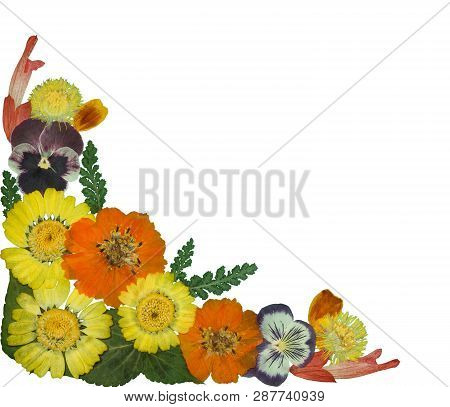 Bouquet Of Dried Pressed Flowers Isolated On White Background. For Use In Floristics, Scrapbooking A