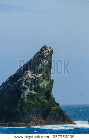 The Shag Rocks Are Six Small, Uninhabited, Islands On The Most Western Part Of South Georgia. They A