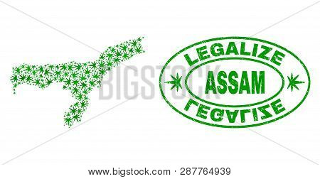 Vector Cannabis Assam State Map Collage And Grunge Textured Legalize Stamp Seal. Concept With Green 