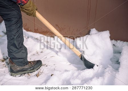 Clean The Snow With A Shovel. The Man Shovels Snow Shovels. Snow Shovel In Hand. Cleaning The Area I