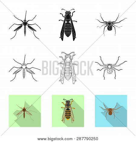 Vector Design Of Insect And Fly Icon. Set Of Insect And Element Vector Icon For Stock.