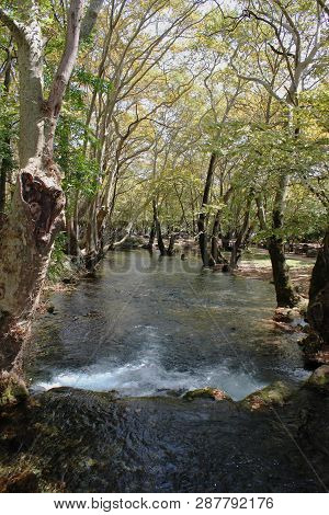 Agios Nikolaos Park Naousa Greece Europe