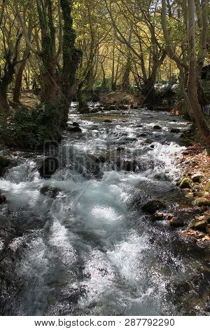 Agios Nikolaos Park Naousa Greece Europe