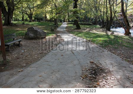 Agios Nikolaos Park Naousa Greece Europe