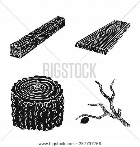 Vector Design Of Hardwood  And Construction Symbol. Set Of Hardwood  And Wood Vector Icon For Stock.