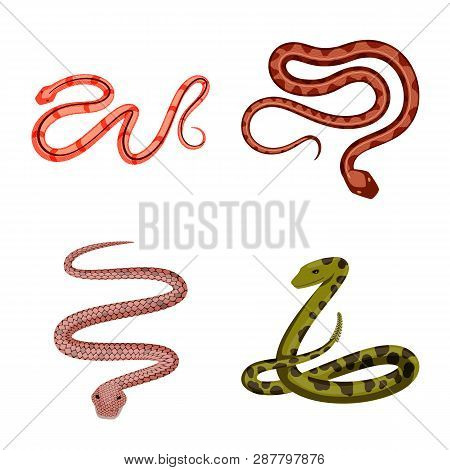 Vector Illustration Of Poison And Evil Logo. Set Of Poison And Bite Vector Icon For Stock.