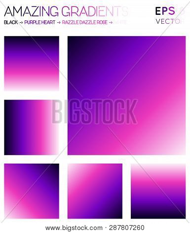 Colorful Gradients In Black, Purple Heart, Razzle Dazzle Rose, White Color Tones. Adorable Backgroun