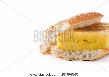 Bocadillo De Tortilla Española. Spanish Potato Omelette Sandwich Isolated On White Background. Copys