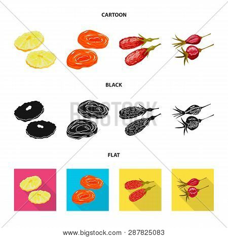 Vector Illustration Of Food  And Raw  Sign. Set Of Food  And Nature   Stock Vector Illustration.