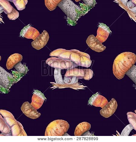 Watercolor Seamless Pattern With Mushrooms.