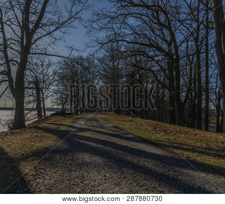 Path With Leaf Old Trees Near Rozmberk Pond In Winter Sunny Day