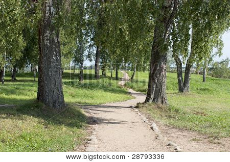 Percorso a piedi nel parco