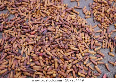 Raw Dried Brown Cloves Texture For Background.