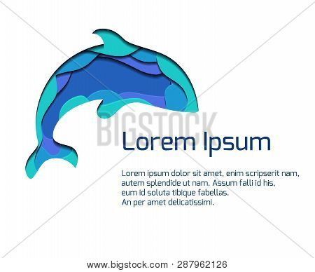 Banner With Ssilhouette Of Grampus With 3d Element Cut Out Of Paper In Blue Colors. Killer Whale.  V