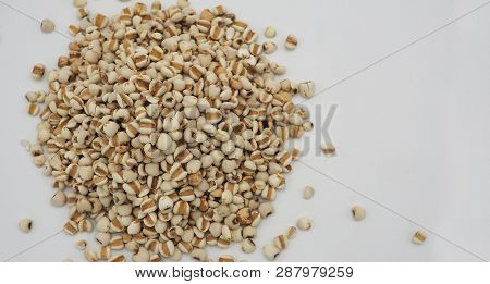 Job's Tears, Also Known As Adlay And Coix On White Background. Popular In Asian Cultures As A Food S