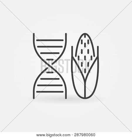Dna With Corn Vector Concept Icon Or Symbol In Outline Style