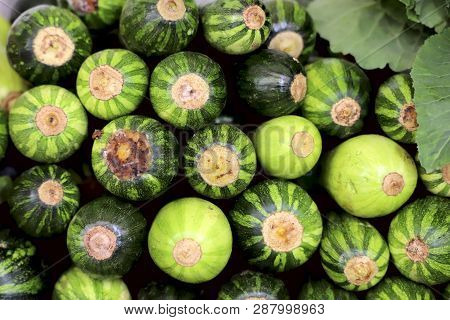 A Group Of Fresh Green Striped Zucchini Are Stacked In Rows. Cropped Shot, Horizontal, Close-up, Fro