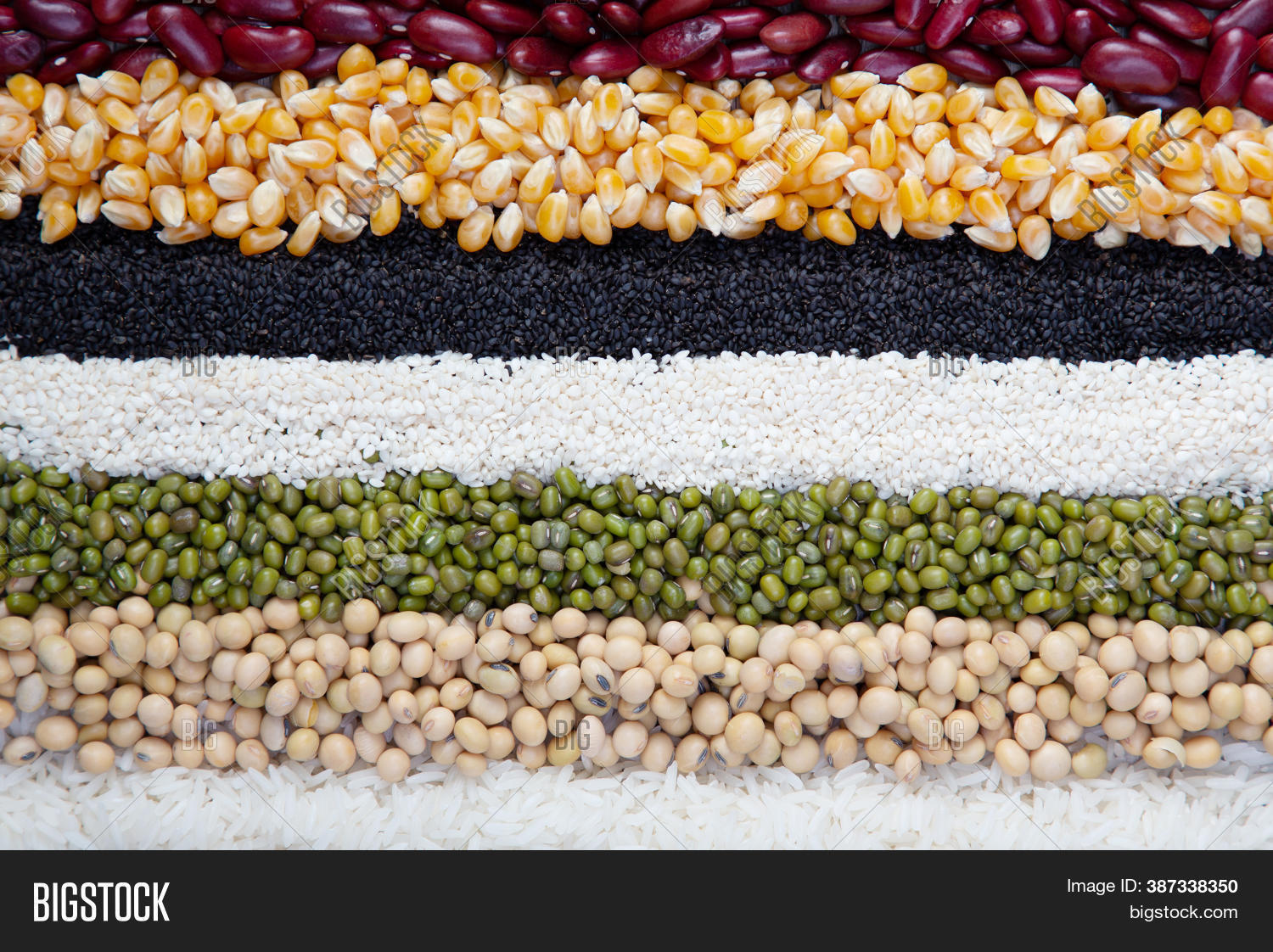 Cereal Grains Seeds Image & Photo (Free Trial) Bigstock