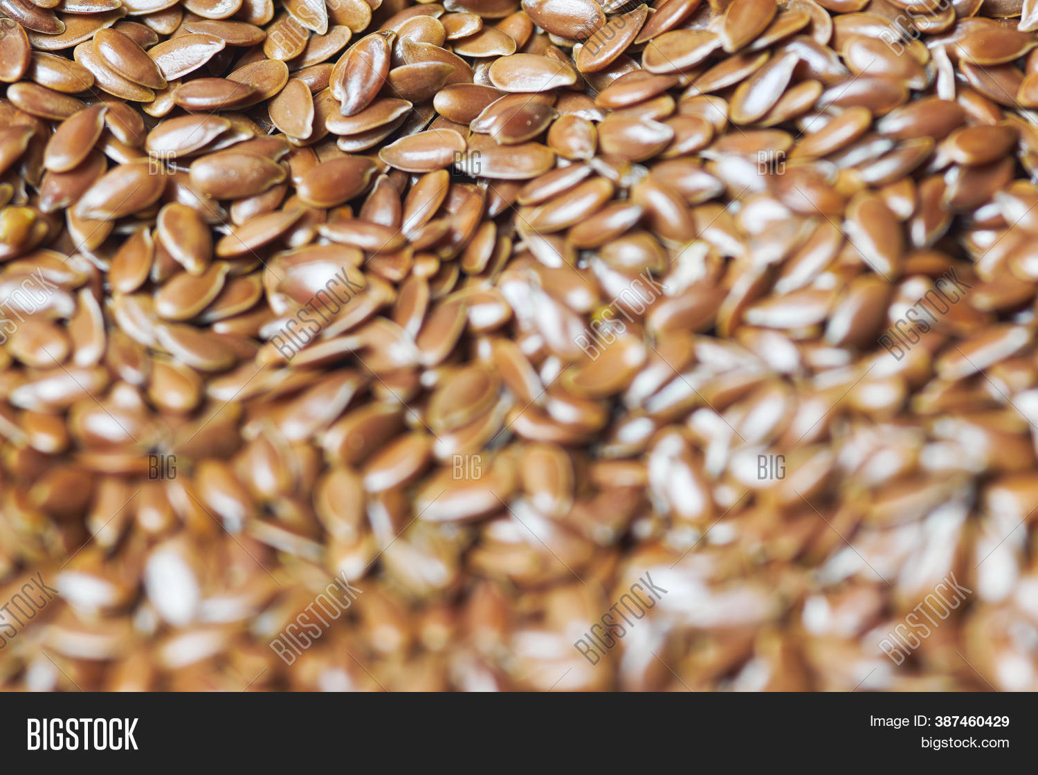 Flaxseed, Linseed Image & Photo (Free Trial) Bigstock